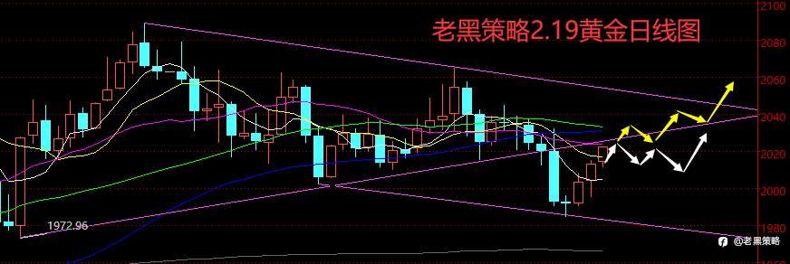 老黑策略：2.19外汇、黄金、原油分析策略