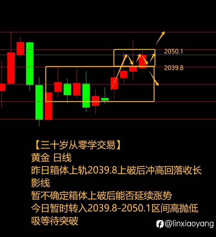 新技能“无限大循环”+389%（三十岁从零学交易，3千赚100万有多难？）