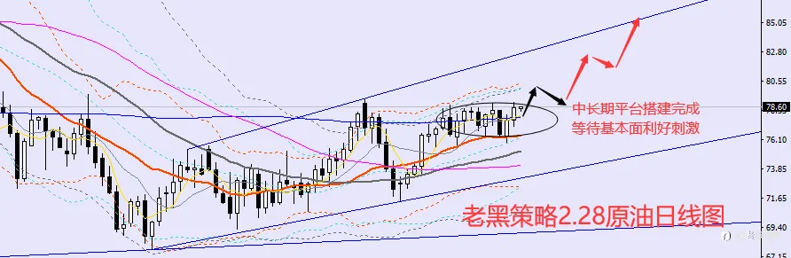 老黑策略：2.28外汇、黄金、原油分析策略