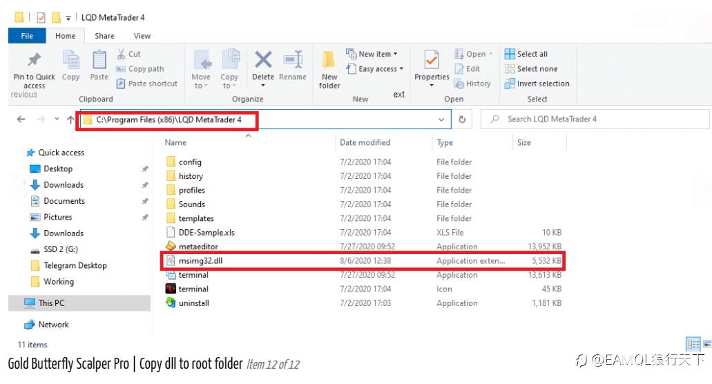 Gold Butterfly Scalper Pro（金蝴蝶） - 趋势跟踪和反趋势系统的盈利组合