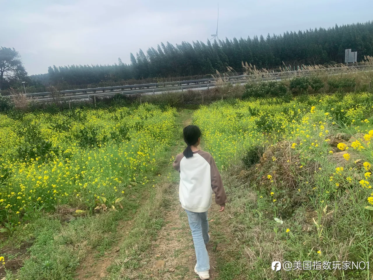 feed image