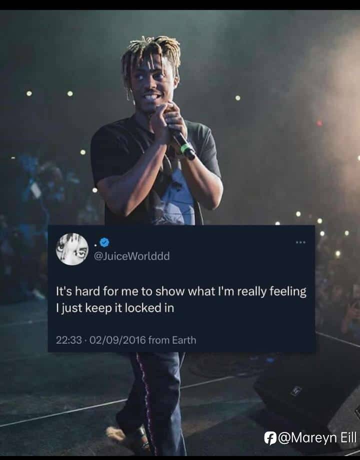 feed-image-0