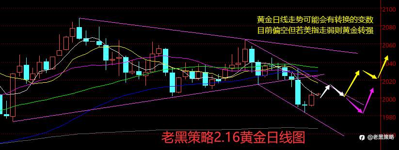 老黑策略：2.16外汇、黄金、原油分析策略