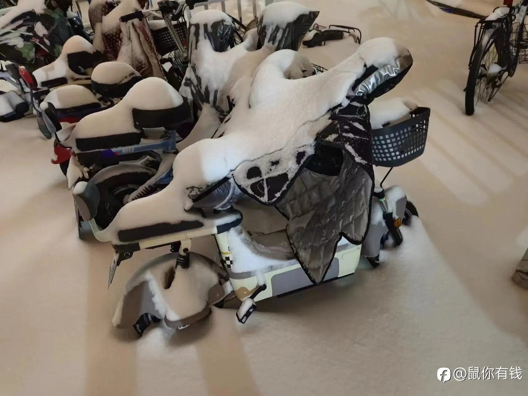 这是谁求得雪