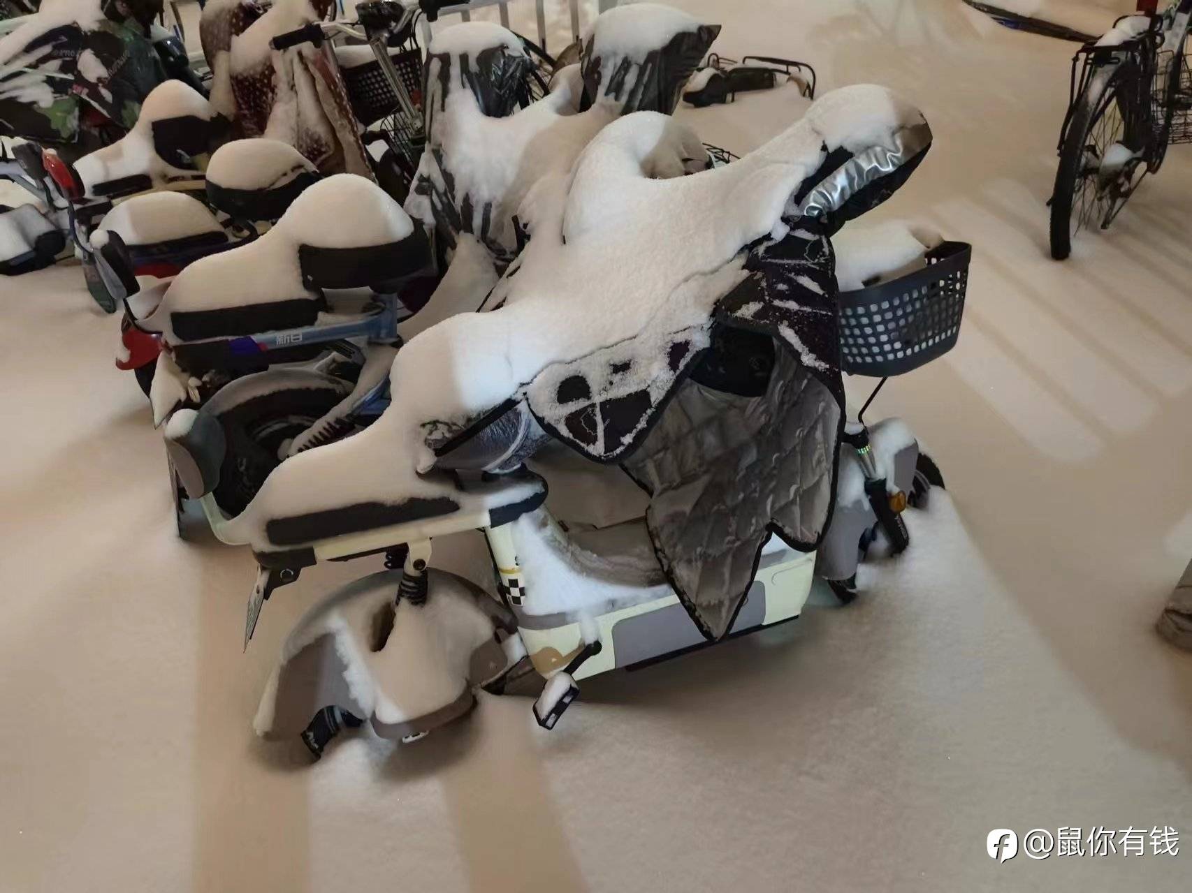 这是谁求得雪