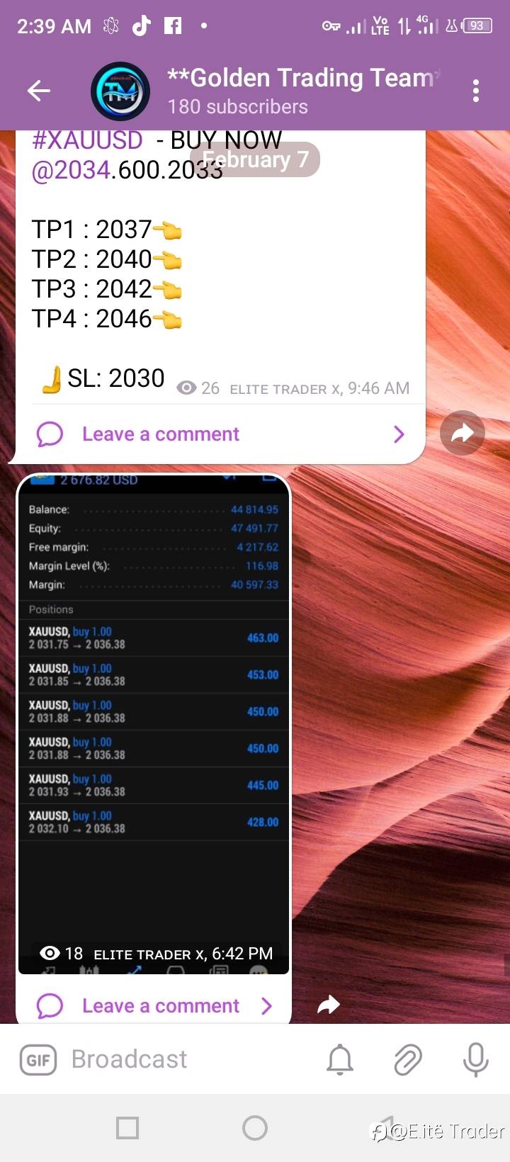 feed-image-1