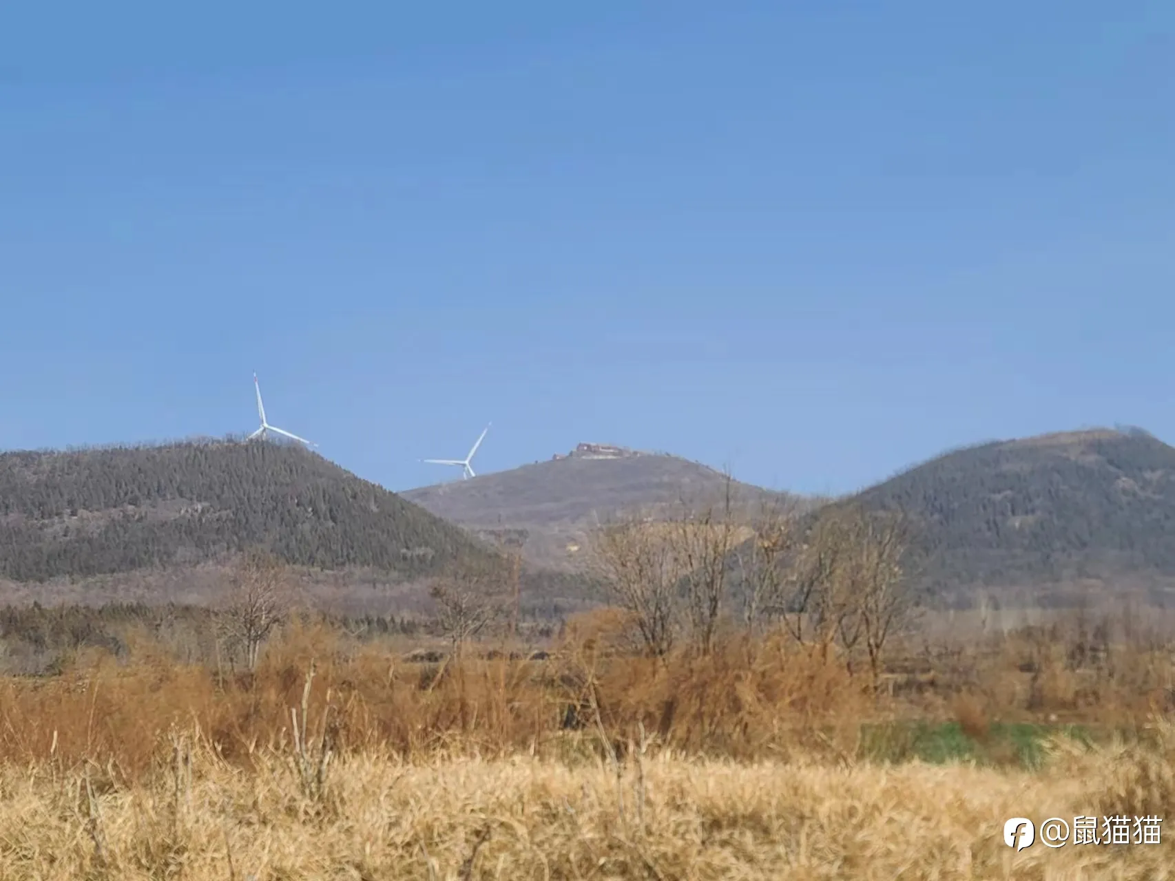 飛龍在天，一馬平川
