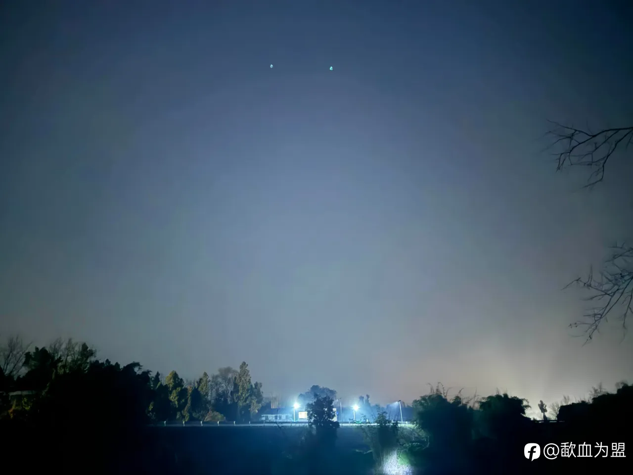feed image