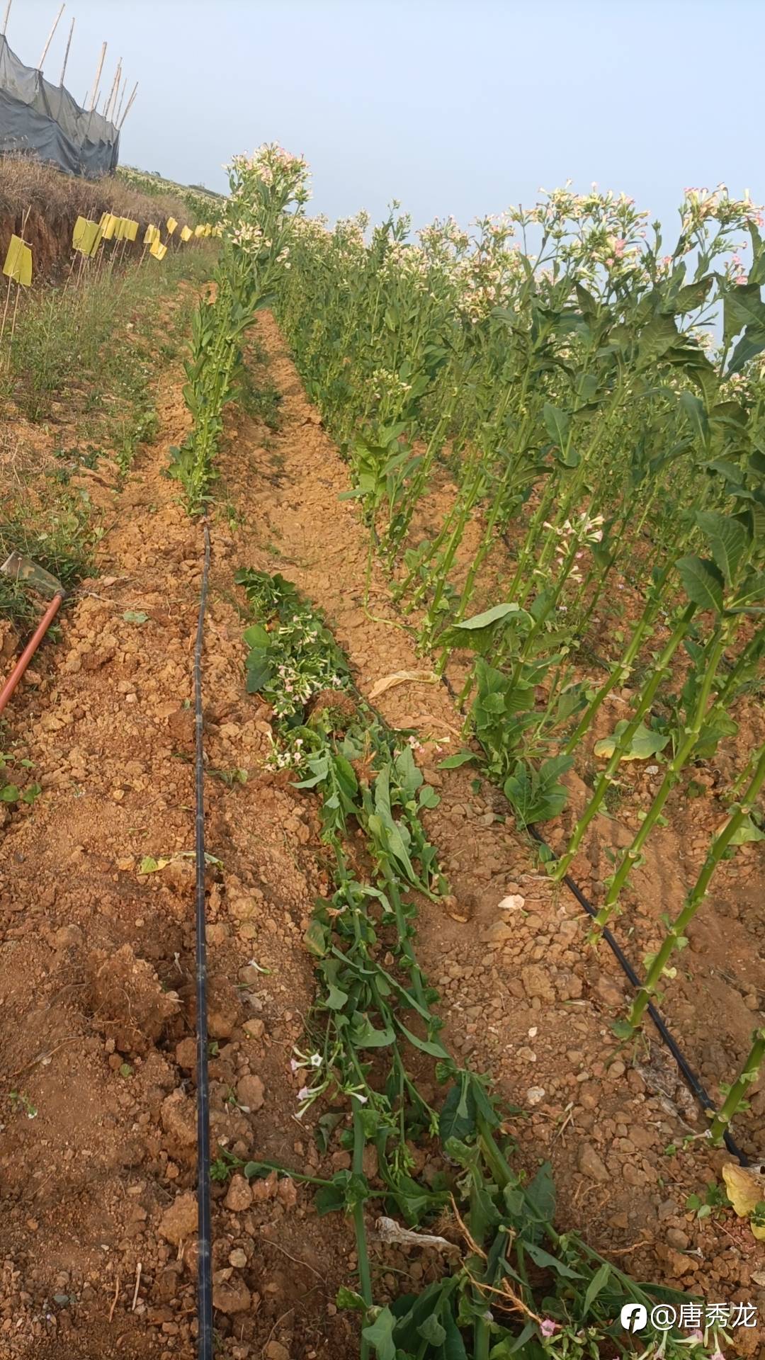 feed-image-2