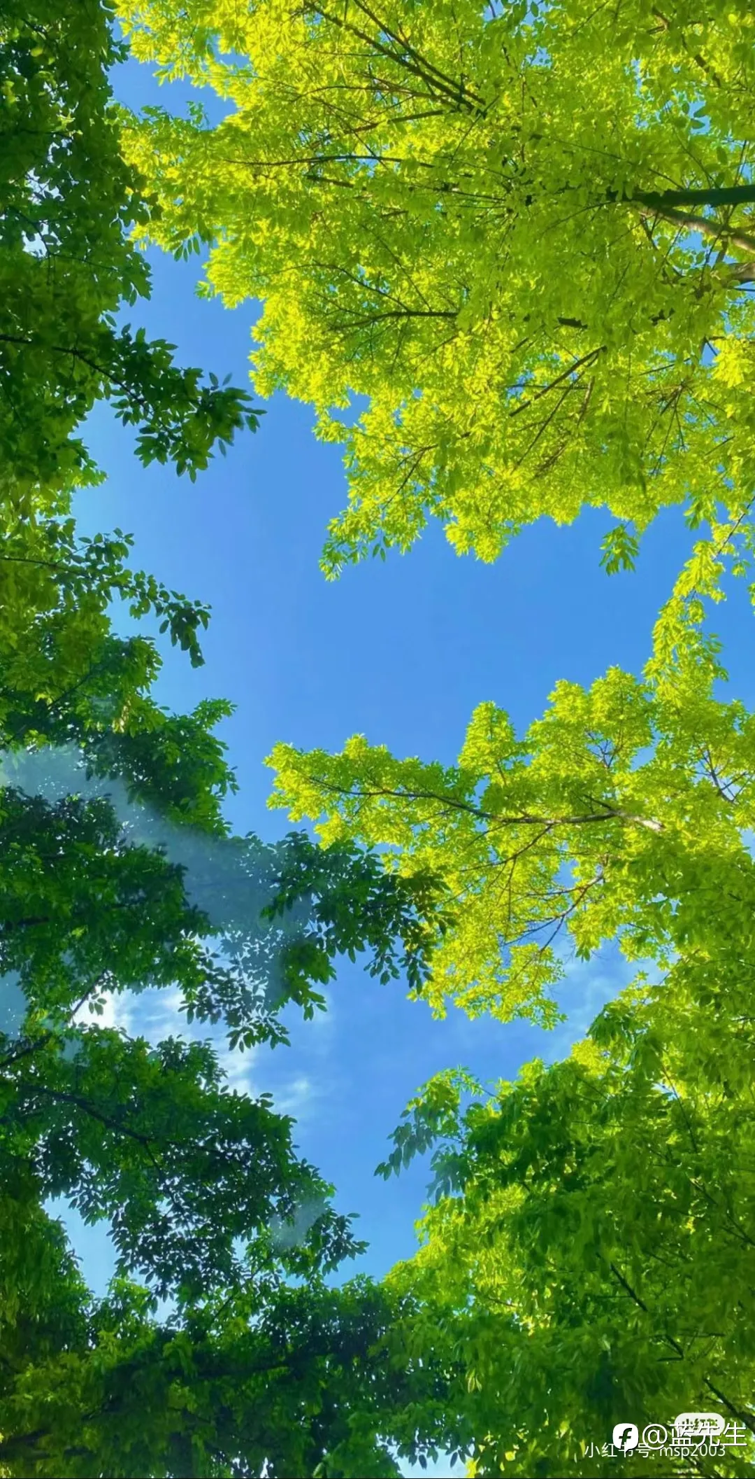 行到水穷处，坐看云起时。