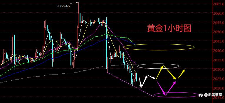 老黑策略:2.5晚盘外汇、黄金、原油分析策略