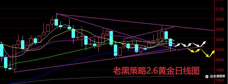 老黑策略：2.6外汇、黄金、原油分析策略