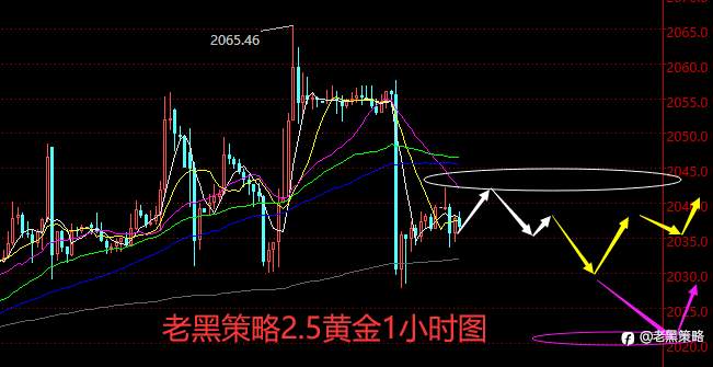 老黑策略：2.5外汇、黄金、原油分析策略