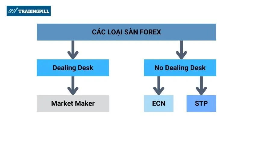 Sàn Forex từ A-Z mà newbie MUST KNOW!!!