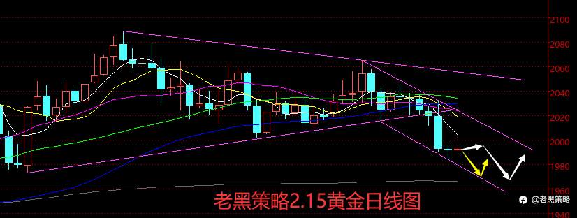 老黑策略：2.15外汇、黄金、原油分析策略