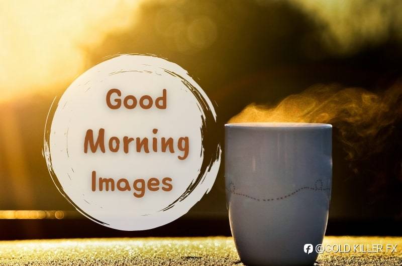 feed image