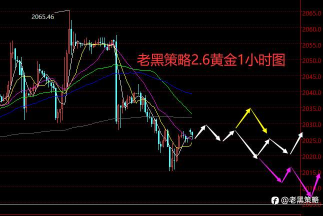 老黑策略：2.6外汇、黄金、原油分析策略