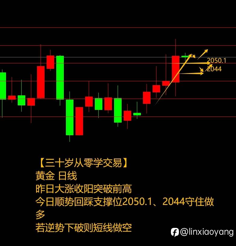 酝酿一周前功尽弃（三十岁从零学交易+392%，3千赚100万有多难？）