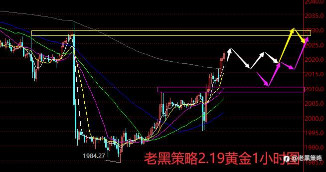 老黑策略：2.19外汇、黄金、原油分析策略