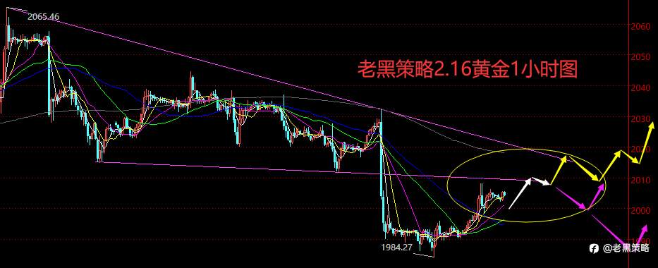 老黑策略：2.16外汇、黄金、原油分析策略
