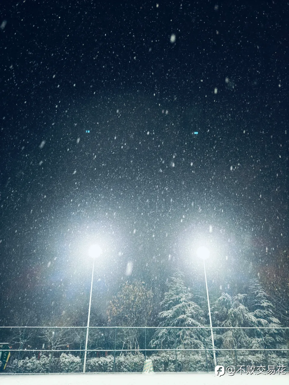 feed image