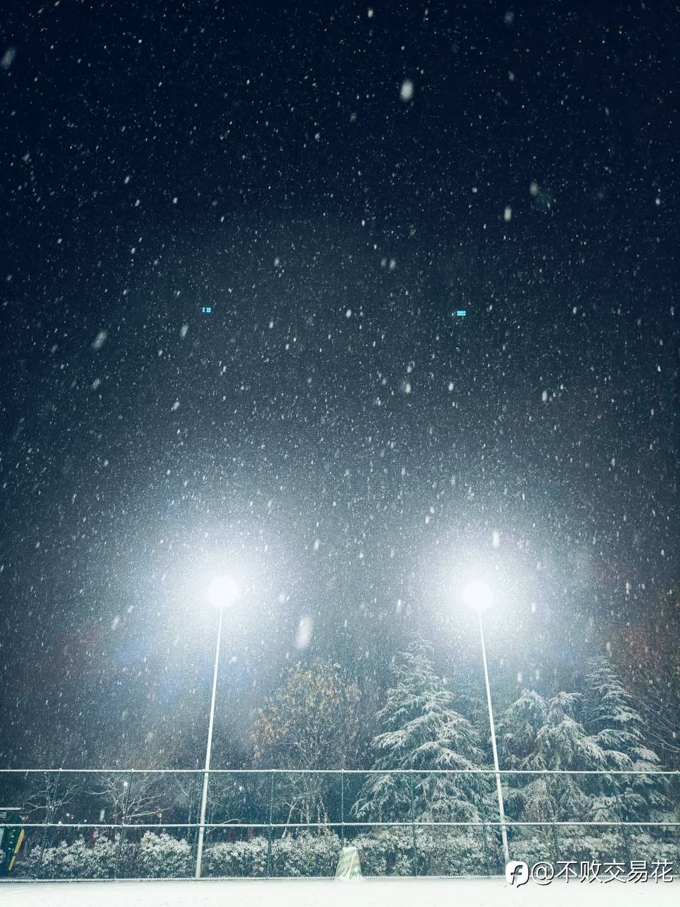 岁末,日暮,大雪