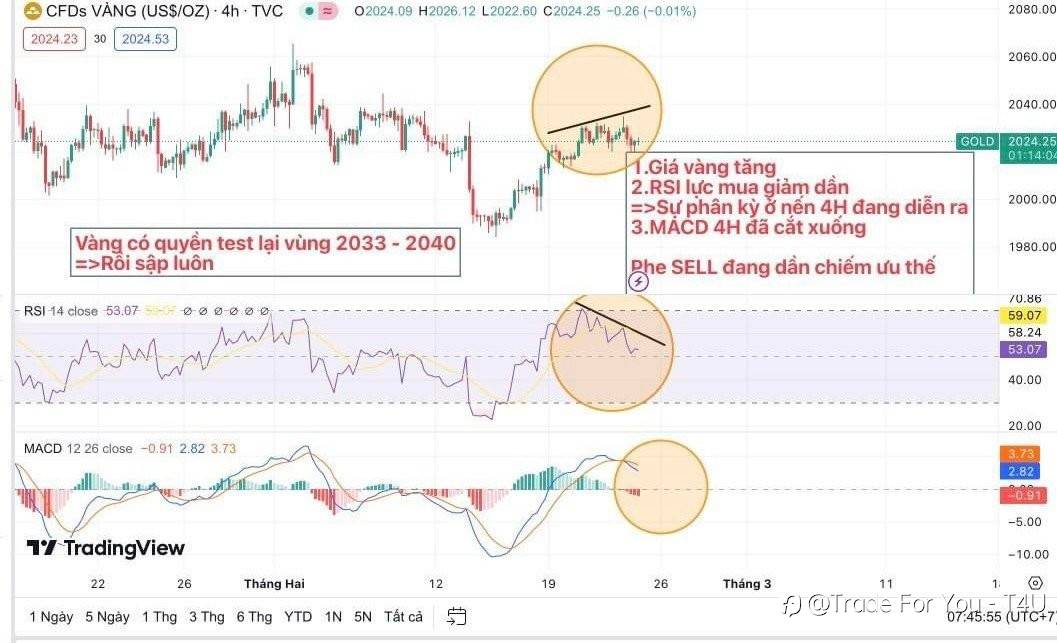 Nhận định Vàng 23/02