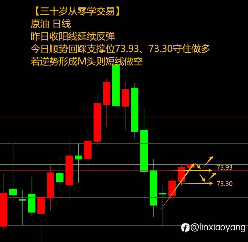 除夕前最后一课（三十岁从零学交易+659%，3千赚100万有多难？）