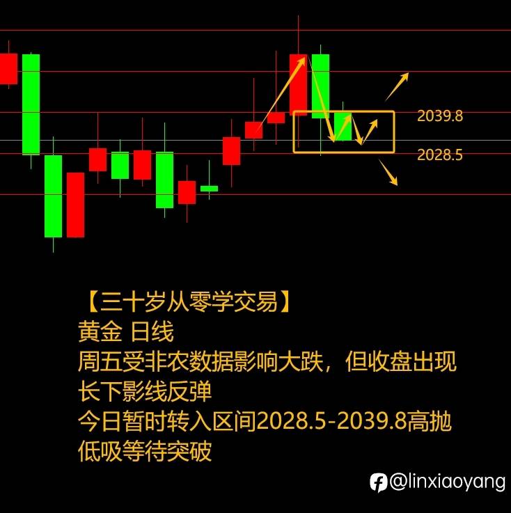 非农意外“亮瞎眼”（三十岁从零学交易+471%，400美金赚100万？）
