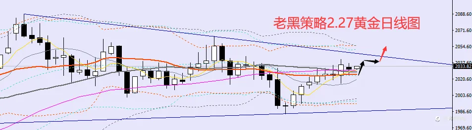老黑策略：2.27外汇、黄金、原油分析策略