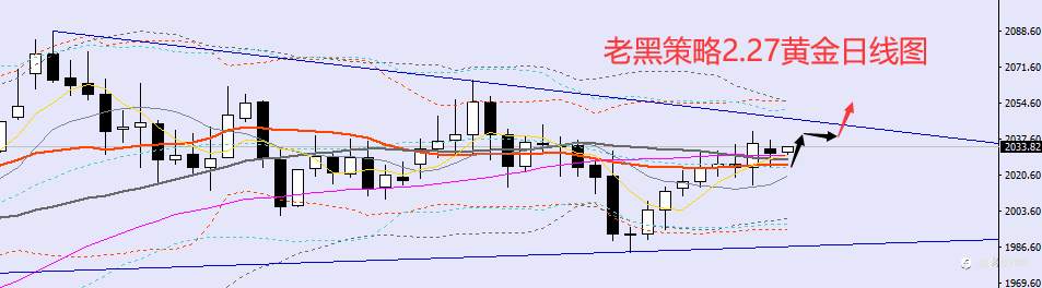 老黑策略:2.27外汇、黄金、原油分析策略
