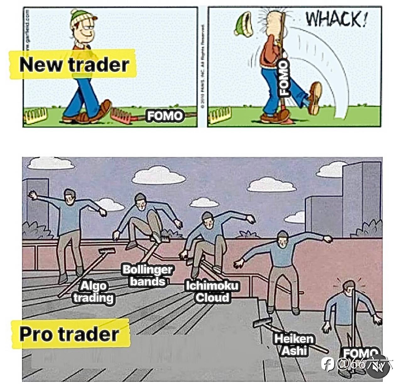 feed image