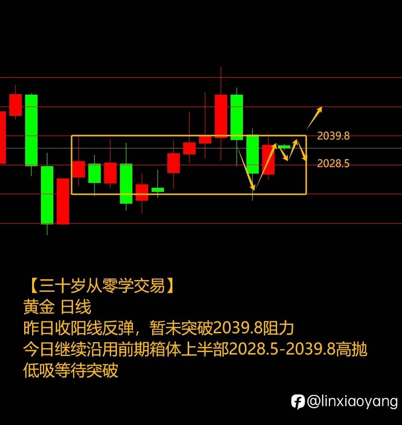 箱体突破模范操作（三十岁从零学交易+659%，3千赚100万有多难？）