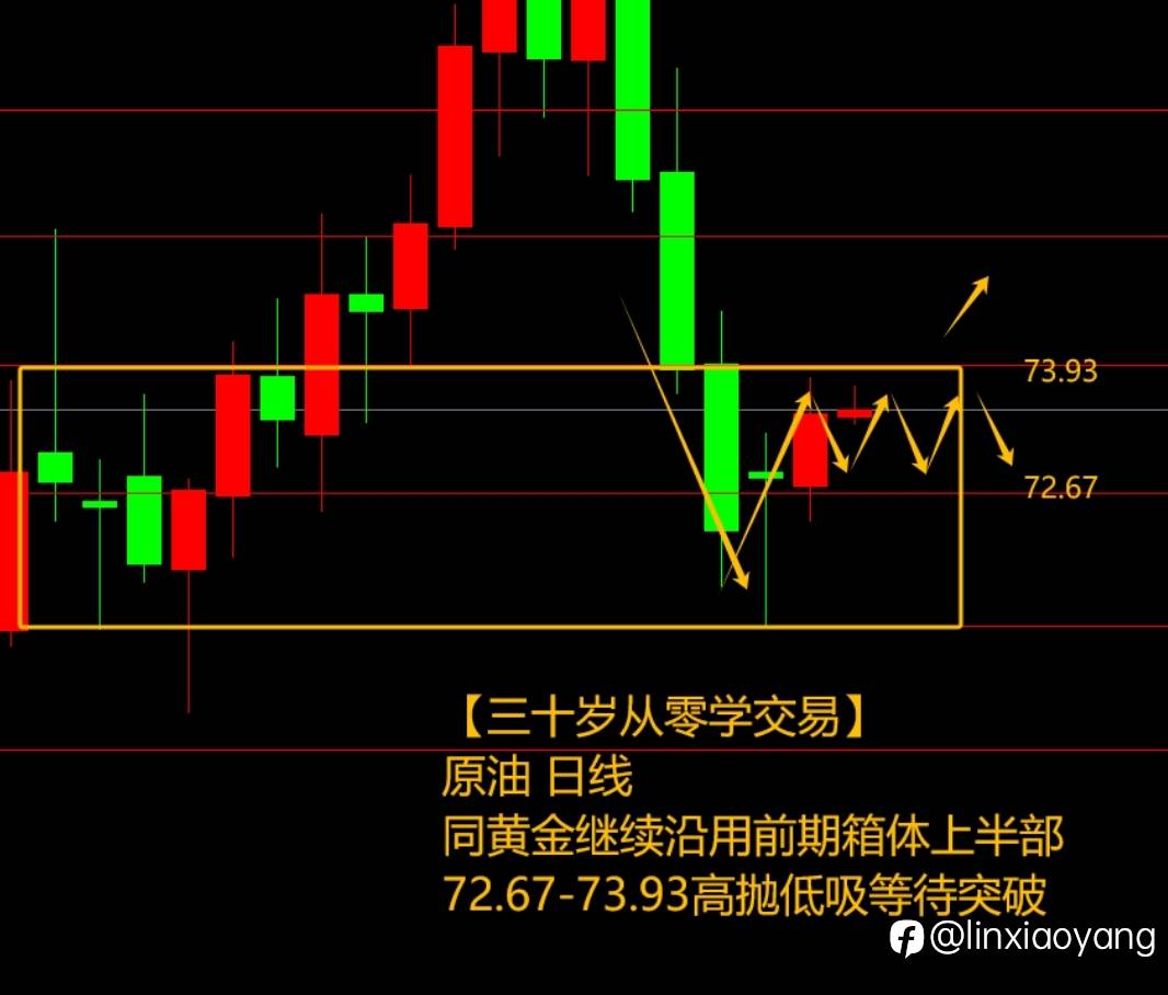 箱体突破模范操作（三十岁从零学交易+659%，3千赚100万有多难？）