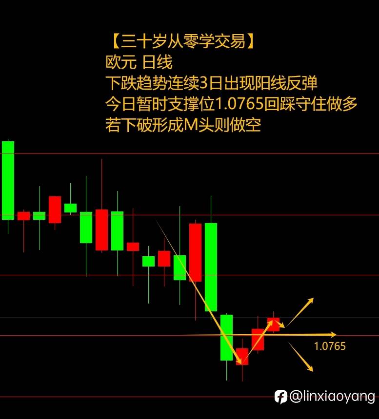除夕前最后一课（三十岁从零学交易+659%，3千赚100万有多难？）