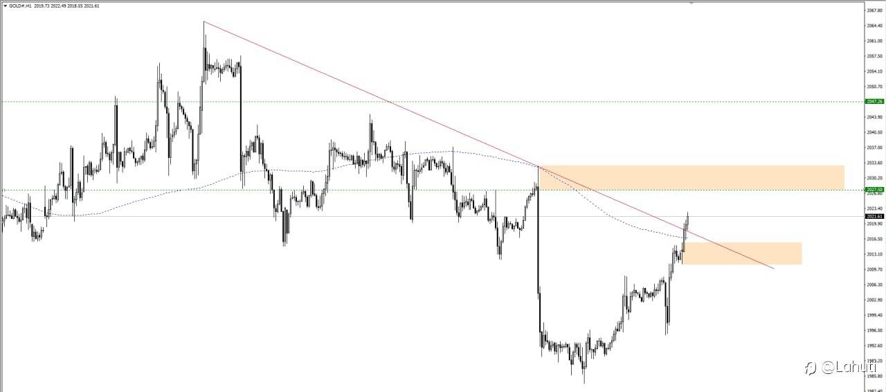 GOLD 19/2/24