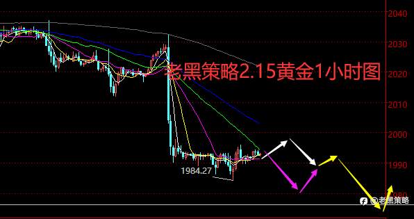 老黑策略：2.15外汇、黄金、原油分析策略
