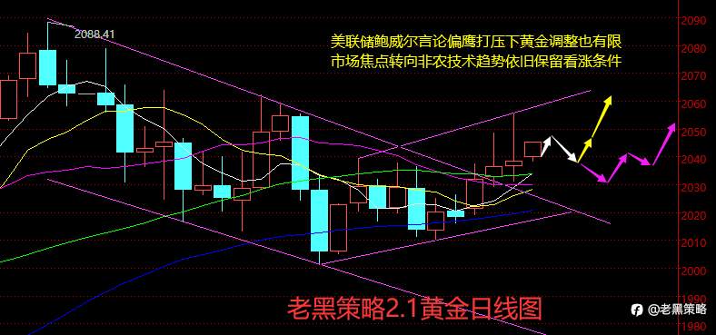 老黑策略：2.1外汇、黄金、原油分析策略
