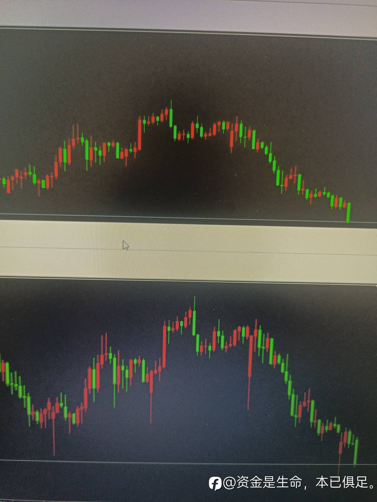 feed-image-0