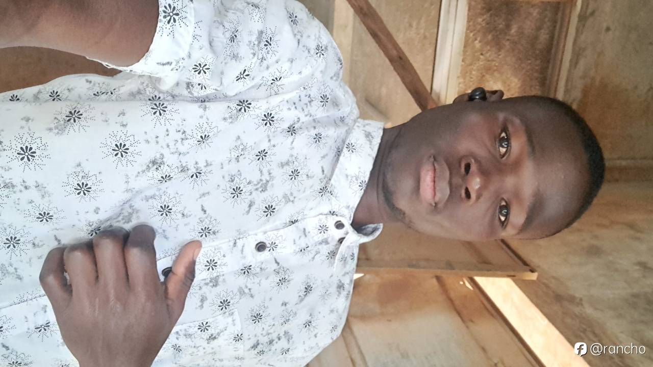 feed-image-0