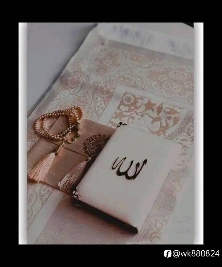 feed-image-0
