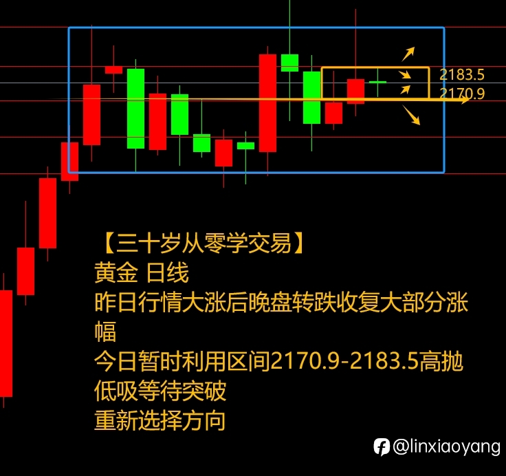 黄金重演过山车？（三十岁从零学，黄金原油外汇课堂）
