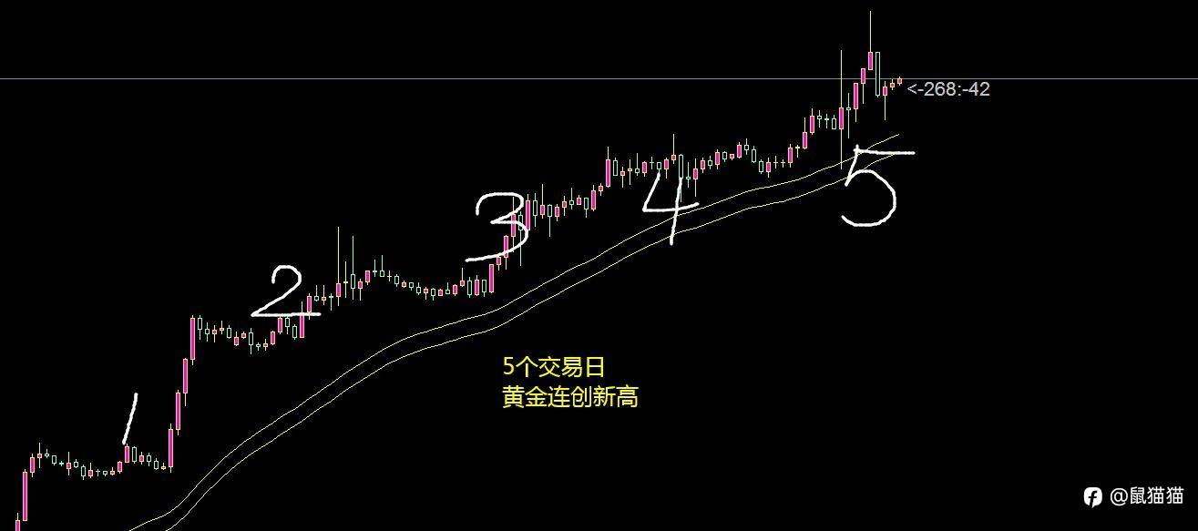 是散兵游勇还是铁血战士?