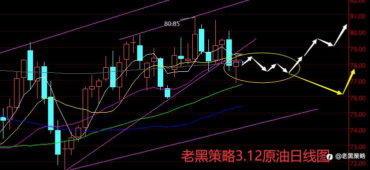 老黑策略：3.12外汇、黄金、原油分析策略