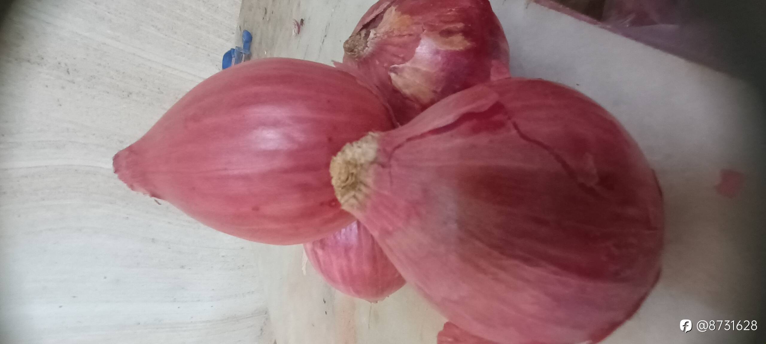 feed image