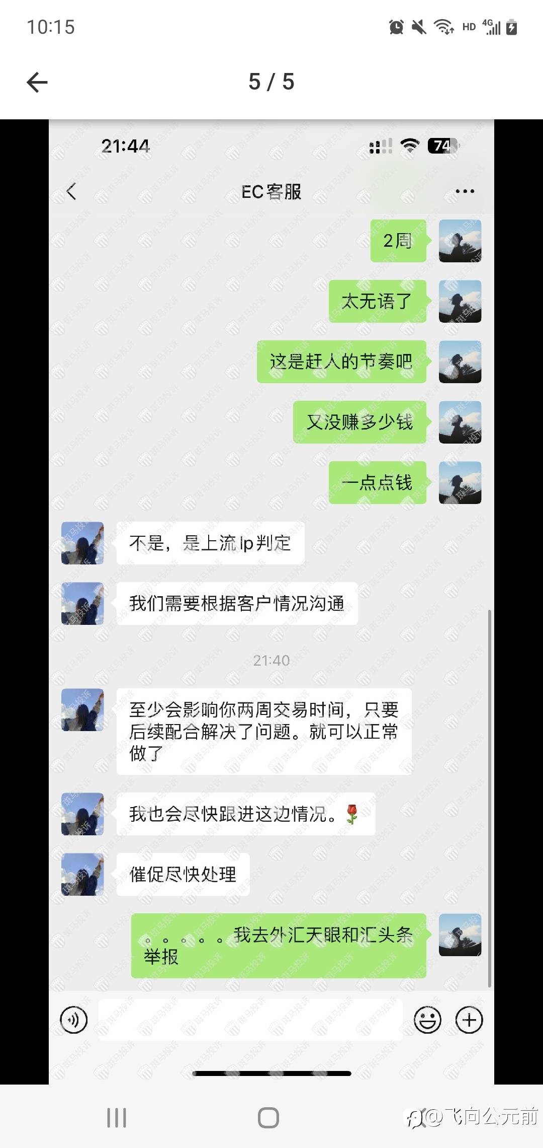 feed-image-0