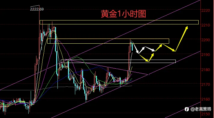 老黑策略：3.26晚盘外汇、黄金、原油分析策略