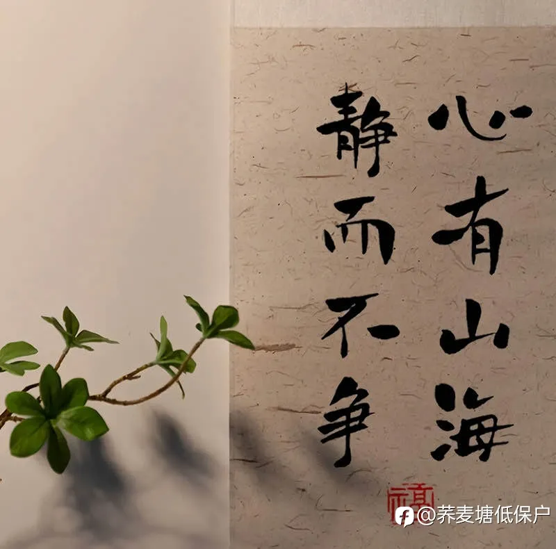 一千七百美金亏完啦，继续上班打螺丝😮‍💨