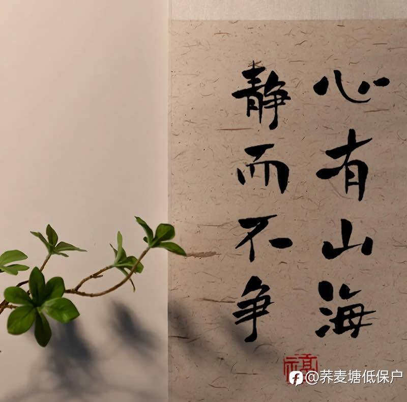 一千七百美金亏完啦,继续上班打螺丝😮💨