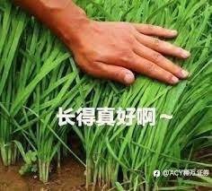 【干货分享】四巫日如何让美股下跌？